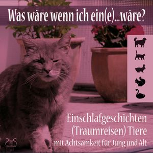 Was wäre wenn ich ein(e)...wäre? Einschlafgeschichten (Traumreisen) Tiere mit Achtsamkeit für Jung und Alt, Torsten Abrolat