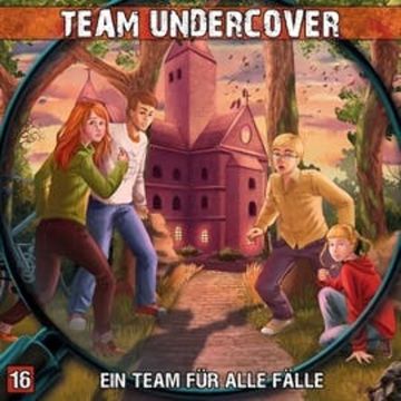 Ein Team für alle Fälle (Team Undercover 16) audiobook, Dominik Ahrens