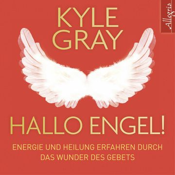 Hallo Engel! audiobook, Kyle Gray