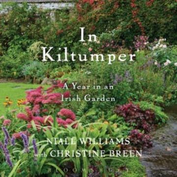 In Kiltumper audiobook, Niall Williams