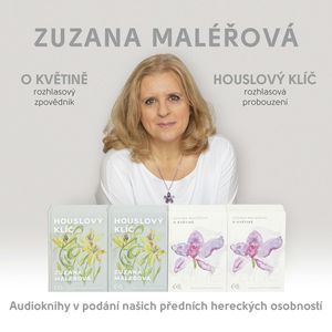 O květině & Houslový klíč, Zuzana Maléřová