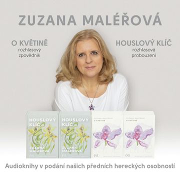 O květině & Houslový klíč audiobook, Zuzana Maléřová