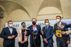 Piráti nebudou v nové vládě  jen otloukánky, Andrea Procházková, Erik Tabery