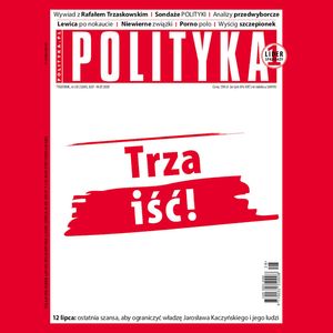 AudioPolityka Nr 28 z 8 lipca 2020 roku, Polityka