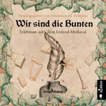 Wir sind die Bunten. Erlebnisse auf dem Festival-Mediaval audiobook, Tommy Krappweis