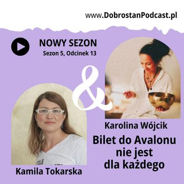 Bilet do Avalonu nie jest dla każdego - Karolina Wójcik audiobook, Kamila Tokarska