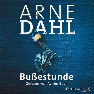 Bußestunde audiobook, Arne Dahl