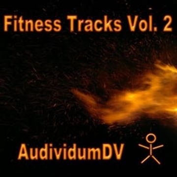 Fitness Tracks, Vol. 2 audiobook, Thomas Baehrle