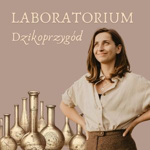 Laboratorium Dzikoprzygód - wapń, muszelki i jaskinie, Aneta Chmielińska