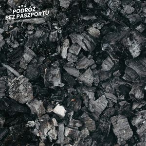 Dlaczego rosyjski węgiel traci na znaczeniu?, Mateusz Grzeszczuk