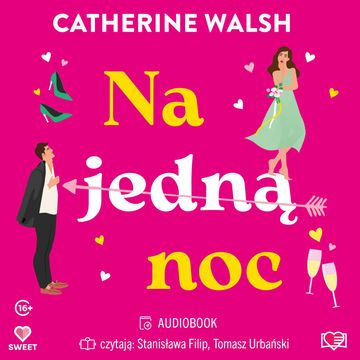 Na jedną noc audiobook, Catherine Walsh