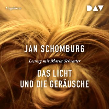 Das Licht und die Geräusche audiobook, Jan Schomburg