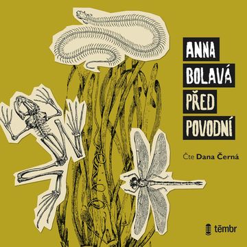 Před povodní audiobook, Anna Bolavá