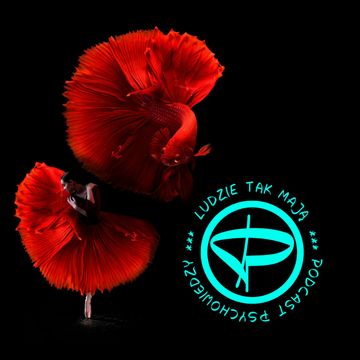 Przepraszam, pan w jakim trybie? audiobook, Przemek Mućko