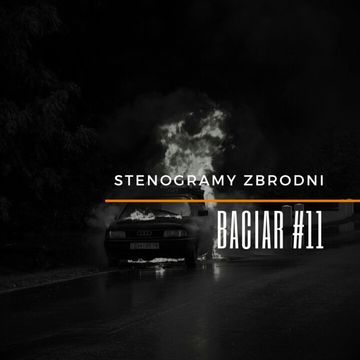 BACIAR #11 - kryminał, podcast, słuchowisko, antykryminał audiobook, Piotr Wielg