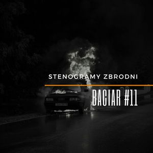 BACIAR #11 - kryminał, podcast, słuchowisko, antykryminał, Piotr Wielg