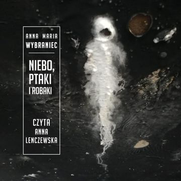 Niebo, ptaki i robaki audiobook, Anna Maria Wybraniec