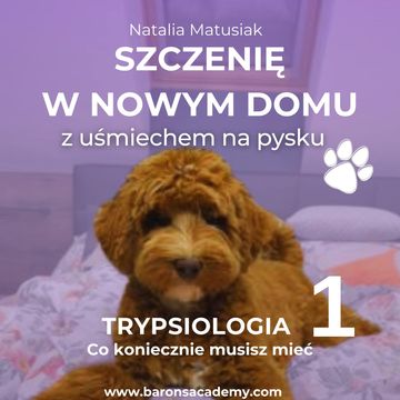 Szczenię w nowym domu z uśmiechem na pysku. Część 1: co koniecznie musisz mieć, Natalia Matusiak