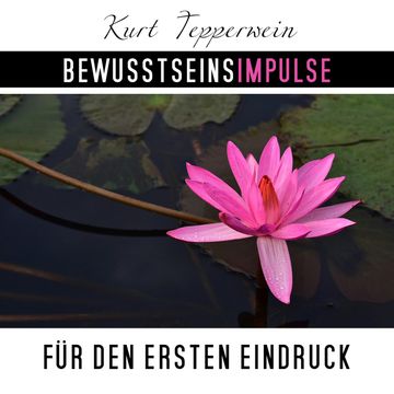 Bewusstseinsimpulse für den ersten Eindruck, Kurt Tepperwein