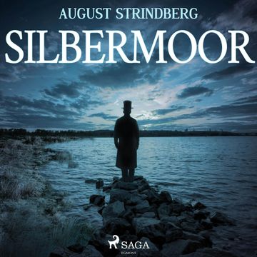Das Silbermoor audiobook, August Strindberg.