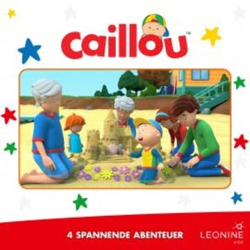 Folgen 25-28: Jeden Tag eine Burg audiobook, N.N.