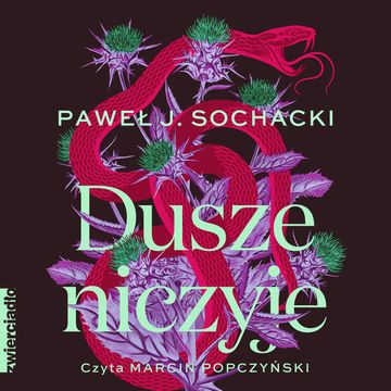 Dusze niczyje audiobook, Paweł J. Sochacki
