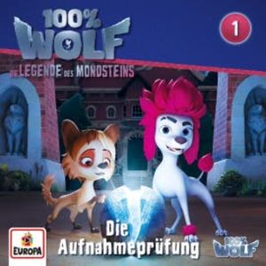 Folge 1: Die Aufnahmeprüfung, Laura Johae