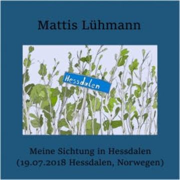 Meine Sichtung in Hessdalen (19.07.2018 Hessdalen, Norwegen) audiobook, Mattis Lühmann