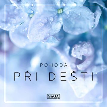 Pohoda - Při dešti audiobook, Rasmus Broe