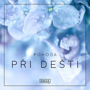 Pohoda - Při dešti, Rasmus Broe