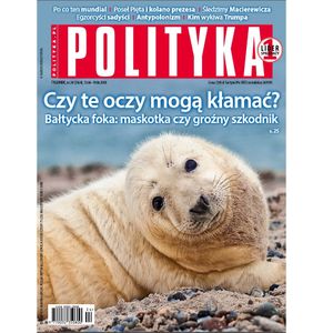 AudioPolityka Nr 24 z 12 czerwca 2018 rok, Polityka