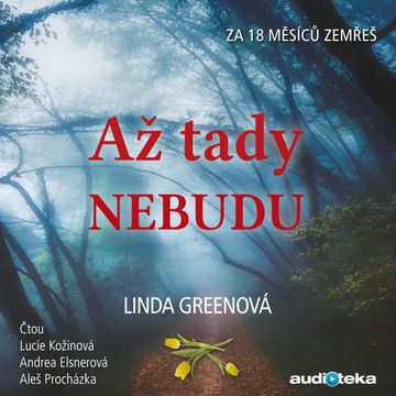 Až tady nebudu audiobook, Linda Greenová