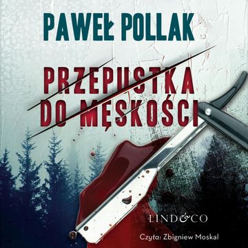 Przepustka do męskości audiobook, Paweł Pollak