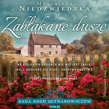 Zabłąkane dusze audiobook, Magdalena Niedźwiedzka