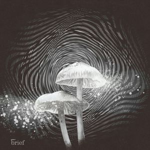 Brief #71 – Masowe protesty w Hongkongu, ekstremalne upały i granice wytrzymałości człowieka, Outride.rs