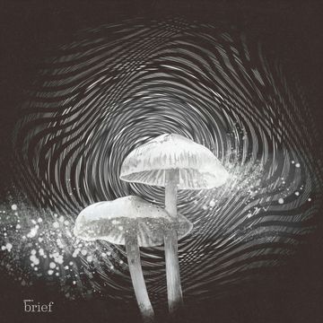 Brief #71 – Masowe protesty w Hongkongu, ekstremalne upały i granice wytrzymałości człowieka audiobook, Outride.rs