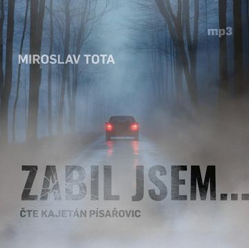Zabil jsem… audiobook, Miroslav Tota