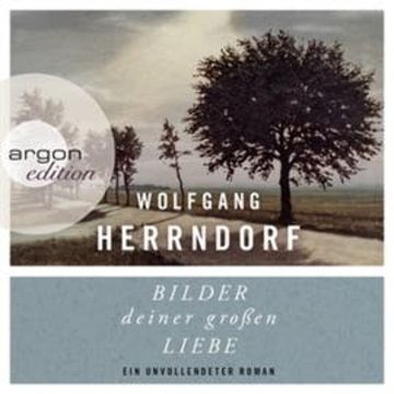 Bilder deiner großen Liebe - Ein unvollendeter Roman audiobook, Wolfgang Herrndorf