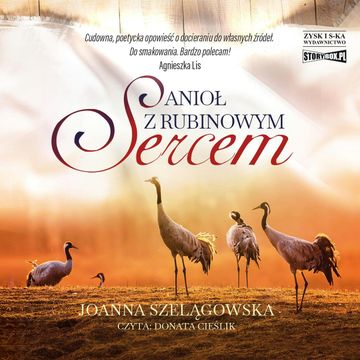 Anioł z rubinowym sercem audiobook, Joanna Szelągowska