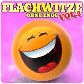 Flachwitze ohne Ende, Vol. 2 audiobook, Der Spassdigga