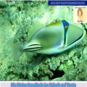 Die kleine Rosalinda im Urlaub auf Kreta, Monika Schuberth