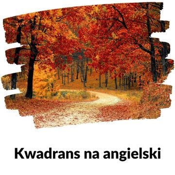 KNA: Lekcja 282 (tylko powtórka z lasu) audiobook, Szymon Marciniak