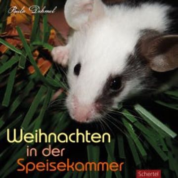 Weihnachten in der Speisekammer audiobook, Paula Dehmel