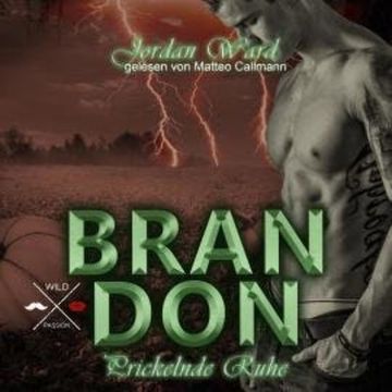 Brandon - Secret Desire - Prickelnde Ruhe, Band 3 (ungekürzt) audiobook, Jordan Ward