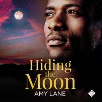 Hiding the Moon audiobook, Amy Lane
