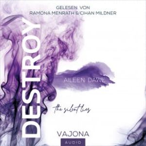 DESTROY the silent lies (DESTROY-Reihe 2), Aileen Dawe