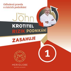 Krotitel rizik podnikání zasahuje v autosalonu, Vladimír John