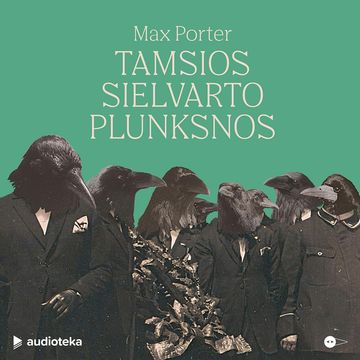 TAMSIOS SIELVARTO PLUNKSNOS audiobook, Max Porter