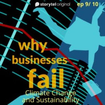 Why Businesses Fail? S01E09 audiobook, Amar Deshpande