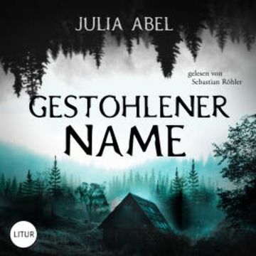 Gestohlener Name audiobook, Julia Abel